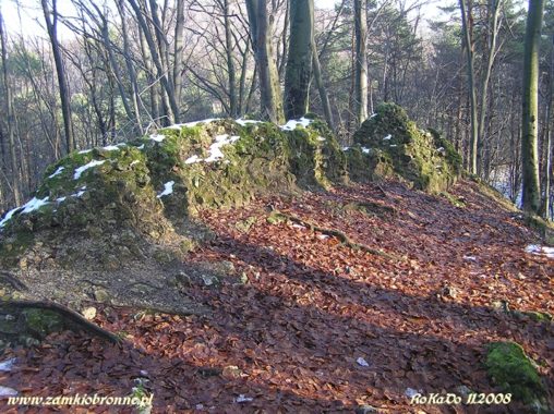 Ruiny zamku Ostrężnik