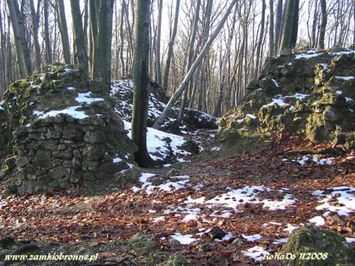 Ruiny zamku Ostrężnik