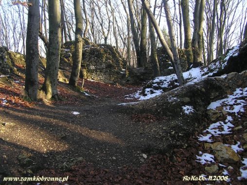 Ruiny zamku Ostrężnik