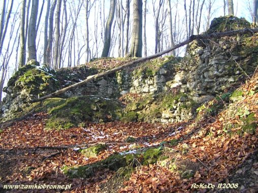 Ruiny zamku Ostrężnik