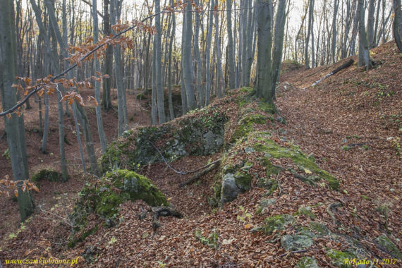 Ruiny zamku Ostrężnik