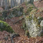 Ruiny zamku Ostrężnik