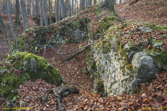Ruiny zamku Ostrężnik
