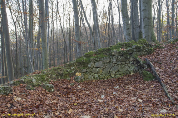 Ruiny zamku Ostrężnik