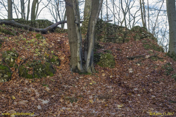 Ruiny zamku Ostrężnik