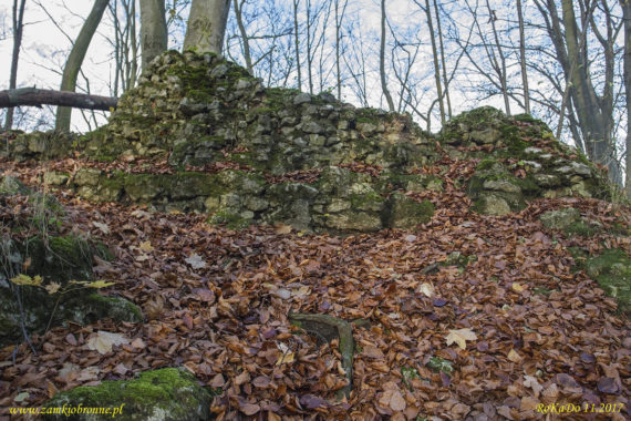 Ruiny zamku Ostrężnik
