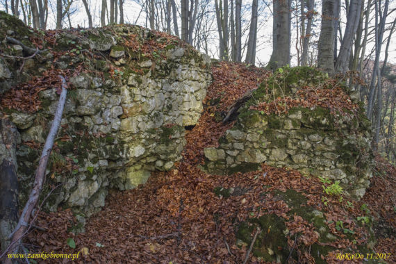 Ruiny zamku Ostrężnik