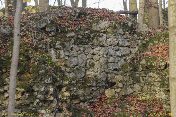 Ruiny zamku Ostrężnik