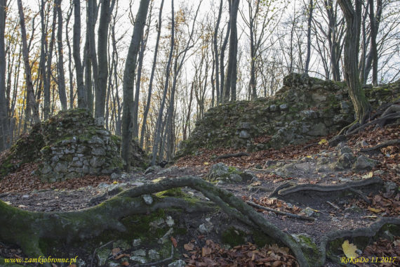 Ruiny zamku Ostrężnik