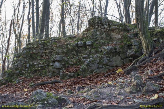 Ruiny zamku Ostrężnik