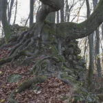 Ruiny zamku Ostrężnik