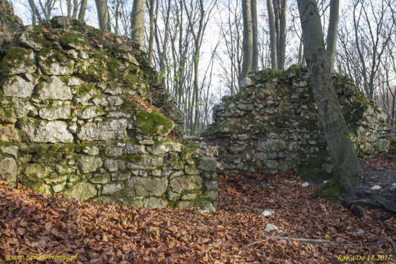 Ruiny zamku Ostrężnik