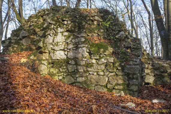 Ruiny zamku Ostrężnik