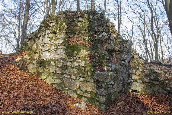 Ruiny zamku Ostrężnik
