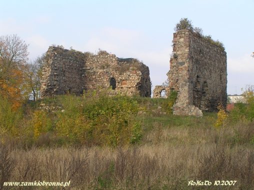 Zamek w Papowie Biskupim