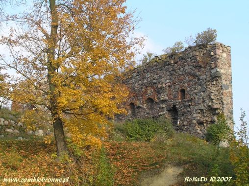 Zamek w Papowie Biskupim