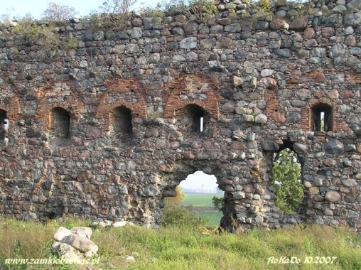 Zamek w Papowie Biskupim