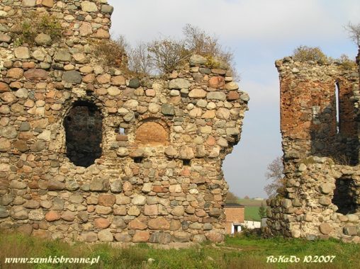 Zamek w Papowie Biskupim