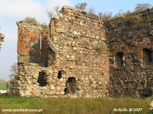 Zamek w Papowie Biskupim