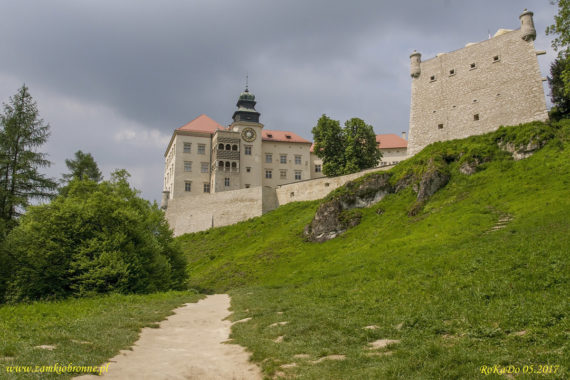 Zamek w Pieskowej Skale