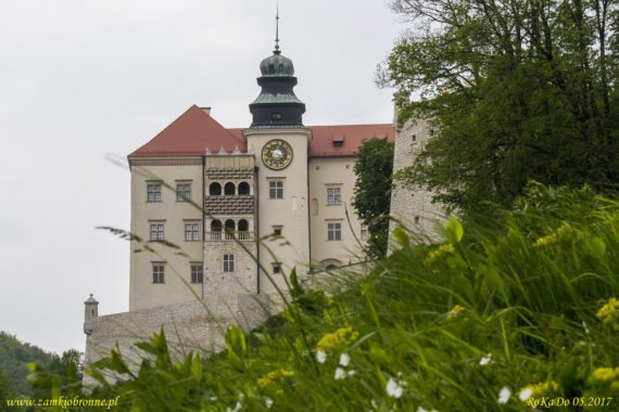 Zamek w Pieskowej Skale