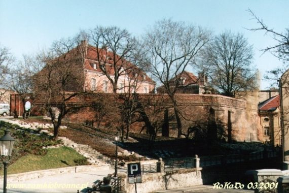 Zamek w Poznaniu przed odbudową