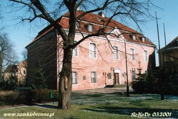 Zamek w Poznaniu przed odbudową