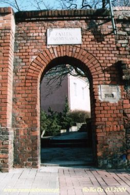 Zamek w Poznaniu przed odbudową