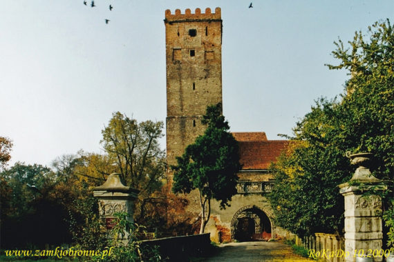 Zamek w Prochowicach