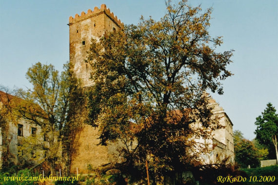 Zamek w Prochowicach