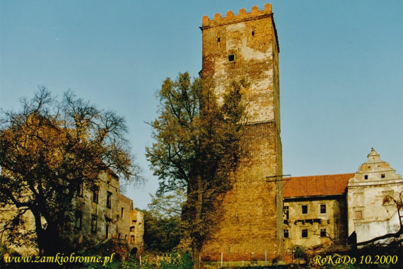 Zamek w Prochowicach