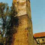 Zamek w Prochowicach