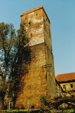 Zamek w Prochowicach