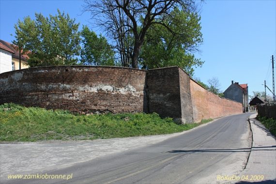 Zamek w Pr&oacute;szkowie