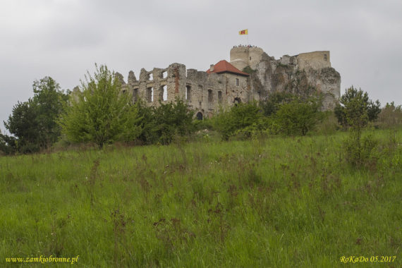 Zamek w Rabsztynie
