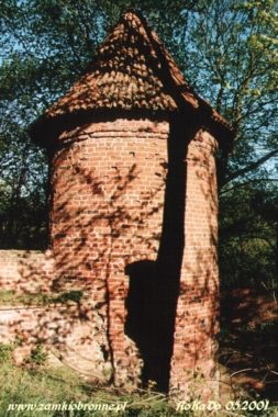 Zamek w Rog&oacute;źnie