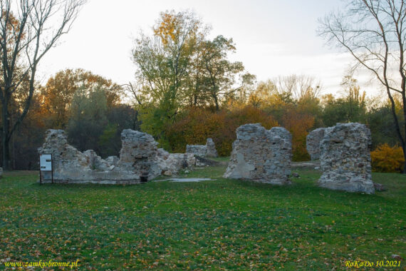 Ruiny zamku w Rudzie Śląskiej
