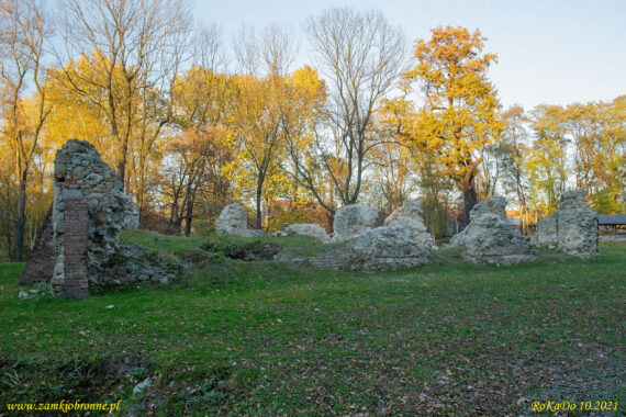 Ruiny zamku w Rudzie Śląskiej
