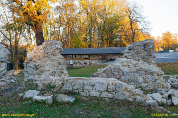 Ruiny zamku w Rudzie Śląskiej