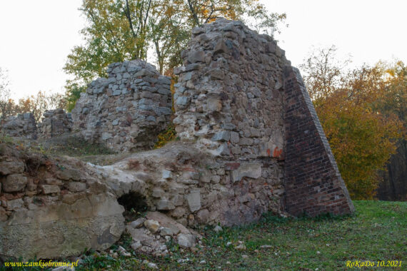 Ruiny zamku w Rudzie Śląskiej