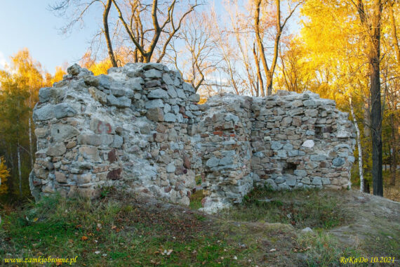 Ruiny zamku w Rudzie Śląskiej