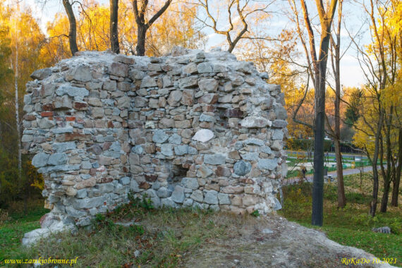 Ruiny zamku w Rudzie Śląskiej
