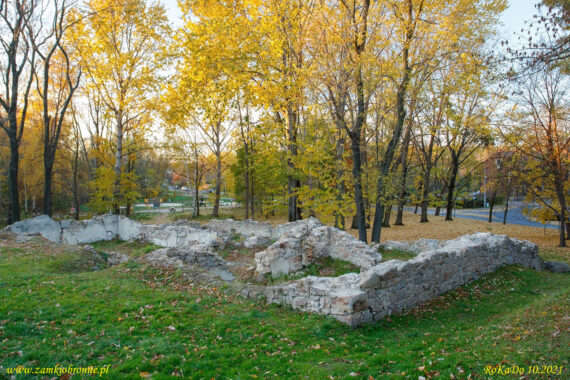 Ruiny zamku w Rudzie Śląskiej