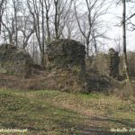 Ruiny zamku w Rudzie Śląskiej
