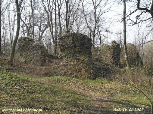 Ruiny zamku w Rudzie Śląskiej