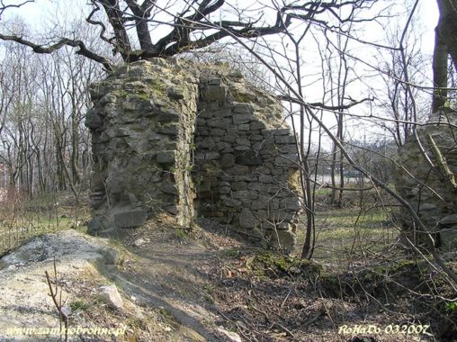 Ruiny zamku w Rudzie Śląskiej