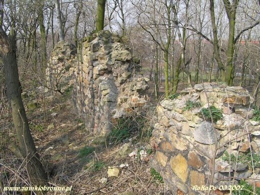 Ruiny zamku w Rudzie Śląskiej