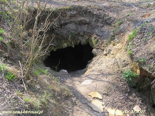 Ruiny zamku w Rudzie Śląskiej
