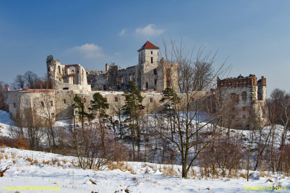 Rudno zamek Tenczyn