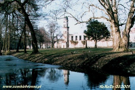 Zamek w Strzelcach Opolskich